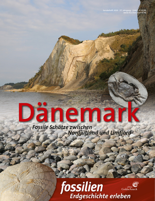 Dänemark - Redaktion Fossilien