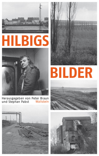 Hilbigs Bilder - Peter Braun; Stephan Pabst