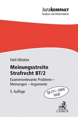 Meinungsstreite Strafrecht BT/2 - Fahl, Christian; Winkler, Klaus