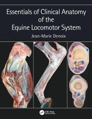Essentials of Clinical Anatomy of the Equine Locomotor System - Jean-Marie Denoix