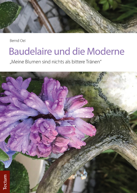 Baudelaire und die Moderne - Bernd Oei