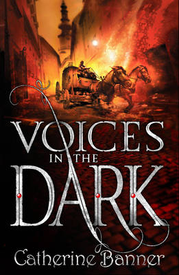 Voices in the Dark - Catherine Banner
