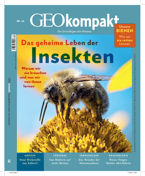 GEOkompakt / GEOkompakt mit DVD 62/2020 - Das geheime Leben der Insekten - Jens Schröder, Markus Wolff