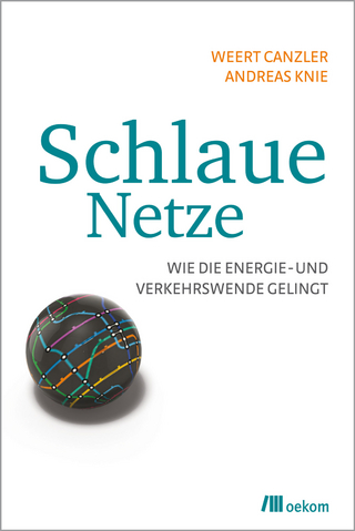 Schlaue Netze - Weert Canzler; Andreas Knie