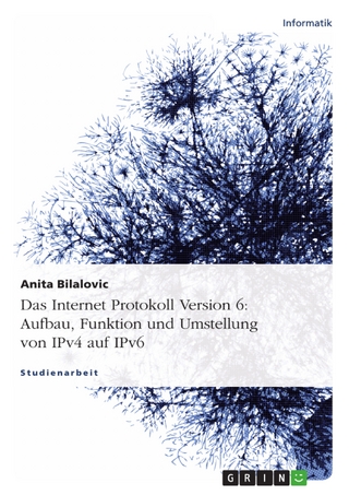 Das Internet Protokoll Version 6: Aufbau, Funktion und Umstellung von IPv4 auf IPv6 - Anita Bilalovic