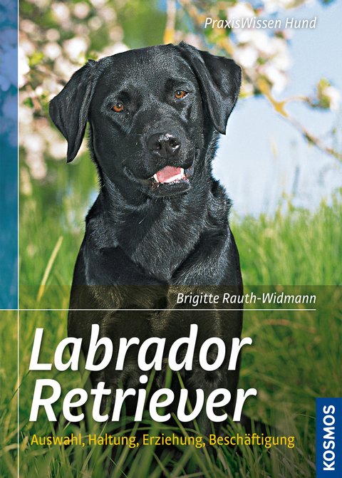 Labrador Retriever - Brigitte Rauth-Widmann
