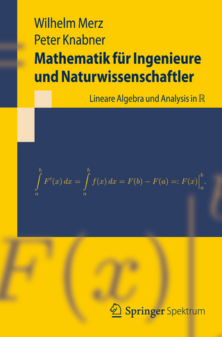 Mathematik für Ingenieure und Naturwissenschaftler - Wilhelm Merz; Peter Knabner