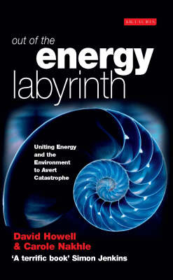 Out of the Energy Labyrinth -  David Howell,  Carole Nakhle