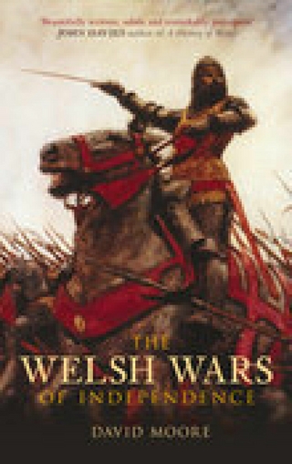The Welsh Wars of Independence - David Moore