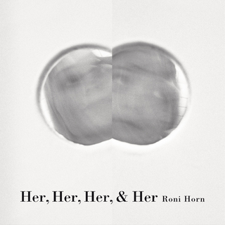 Her, Her, Her, & Her - Roni Horn