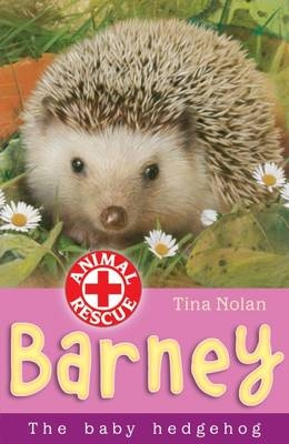 Baby Hedgehog - Tina Nolan