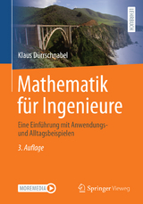 Mathematik für Ingenieure - Dürrschnabel, Klaus