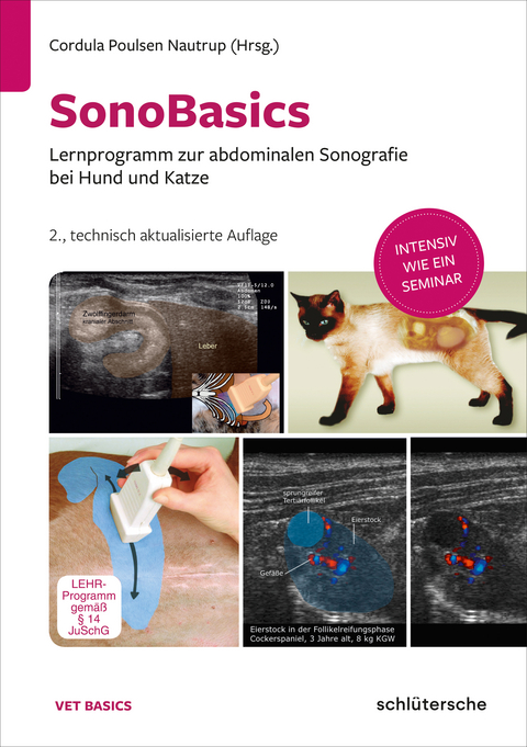SonoBasics DVD - 