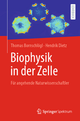 Biophysik in der Zelle - Thomas Bornschlögl, Hendrik Dietz