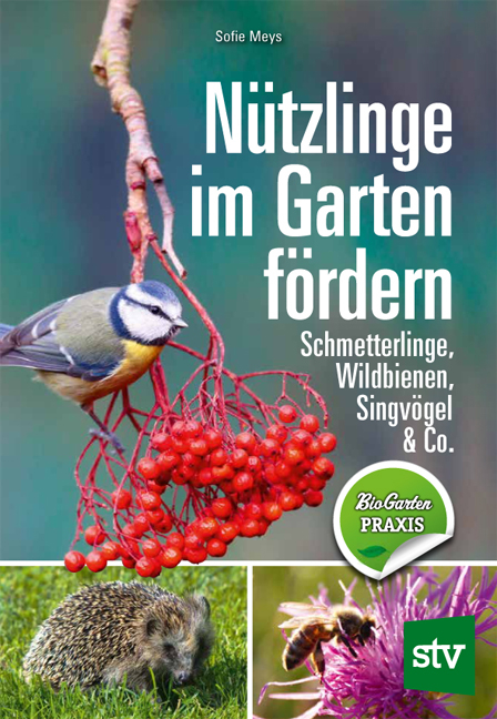 Nützlinge im Garten fördern - Sofie Meys