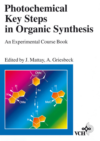 Photochemical Key Steps in Organic Synthesis - Jochen Mattay; Axel Griesbeck