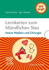Lernkarten zum Mündlichen Stex - Igor Dakovic, Carina Exner