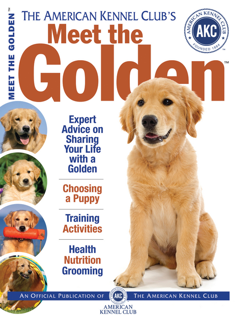 Meet the Golden -  American Kennel Club