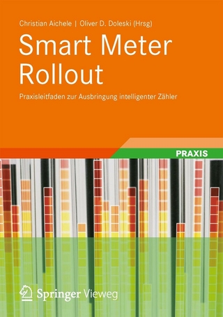 Smart Meter Rollout - Christian Aichele; Oliver Doleski