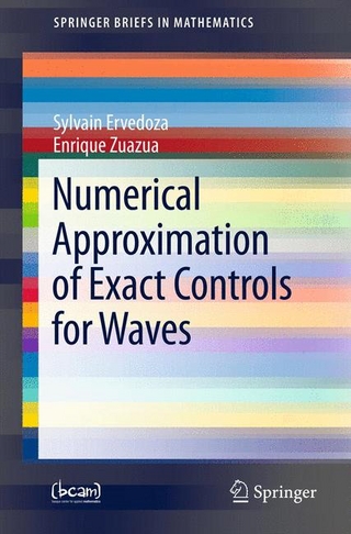 Numerical Approximation of Exact Controls for Waves - Sylvain Ervedoza; Enrique Zuazua