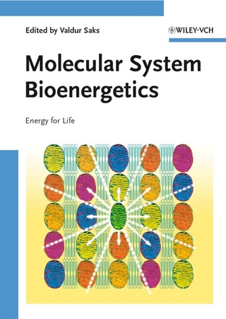 Molecular System Bioenergetics - Valdur Saks