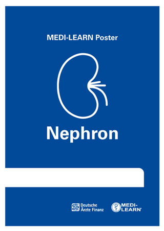 Nephron-Poster - Thomas Bormann; Claas Wesseler; Denise Kreissl
