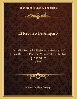El Recurso De Amparo - Manuel D Rivas Cosgaya