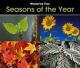Seasons of the Year - Tracey Steffora