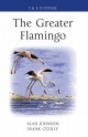 Greater Flamingo - Johnson Alan Johnson;  C zilly Frank C zilly