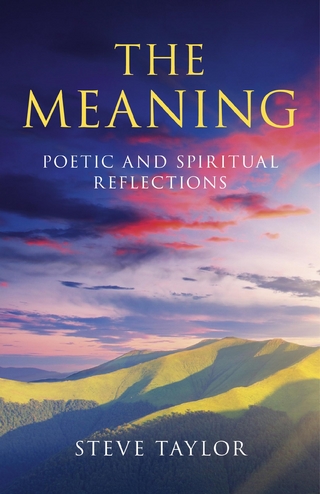 The Meaning - Steve Taylor