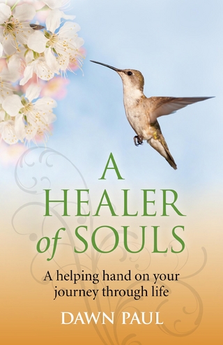 A Healer of Souls - Dawn Paul