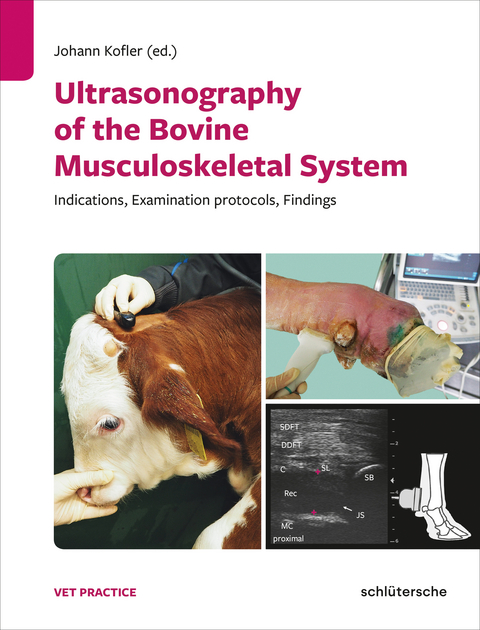 Ultrasonography of the Bovine Musculoskeletal System - 