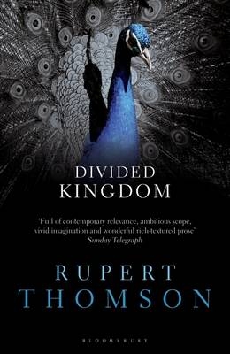 Divided Kingdom - Thomson Rupert Thomson