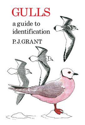 Gulls: A Guide to Identification. 2nd Edition - Grant P.J Grant