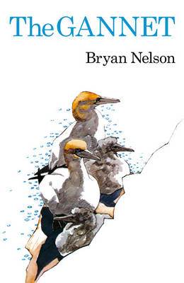 Gannet - Nelson Bryan Nelson