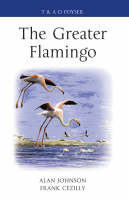 Greater Flamingo - Johnson Alan Johnson; C zilly Frank C zilly