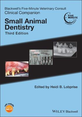 Small Animal Dentistry - 