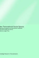 New Transnational Social Spaces - Ludger Pries