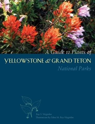 A Guide to Plants of Yellowstone and Grand Teton National Parks - Ray Vizgirdas
