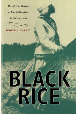 Black Rice - Carney Judith A. Carney