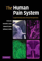 Human Pain System - Kenneth L. Casey; Edward G. Jones; Frederick A. Lenz; William D. Willis