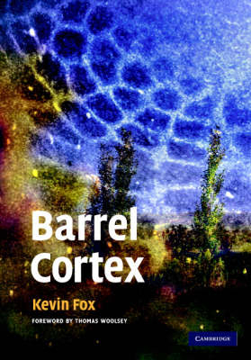 Barrel Cortex - Kevin Fox