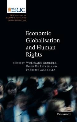 Economic Globalisation and Human Rights - Wolfgang Benedek; Koen De Feyter; Fabrizio Marrella