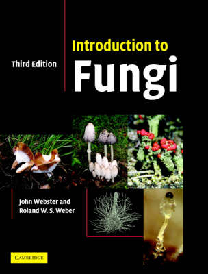 Introduction to Fungi - Roland Weber; John Webster