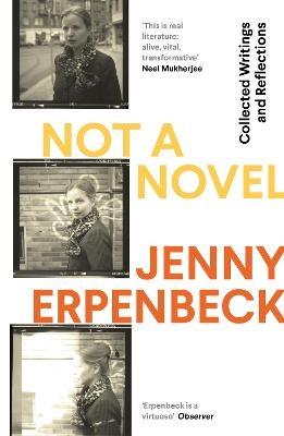 Not a Novel - Jenny Erpenbeck