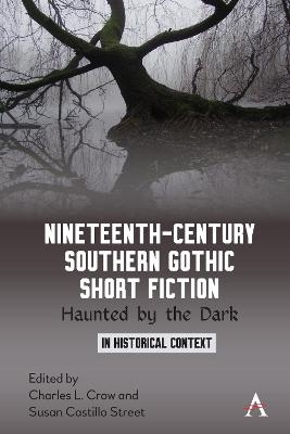 Nineteenth-Century Southern Gothic Short Fiction - Charles L. Crow; Susan Castillo Street