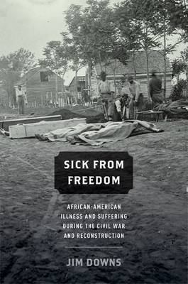 Sick from Freedom - Jim Downs