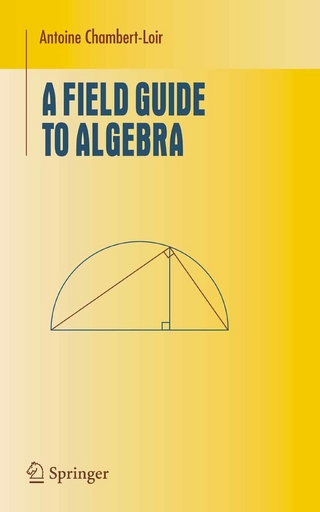 Field Guide to Algebra - Antoine Chambert-Loir