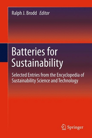 Batteries for Sustainability - Ralph J. Brodd; Ralph J. Brodd