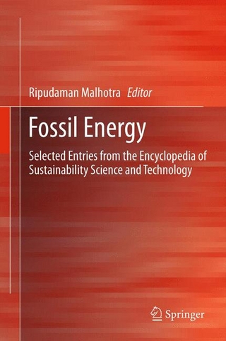 Fossil Energy - Ripudaman Malhotra